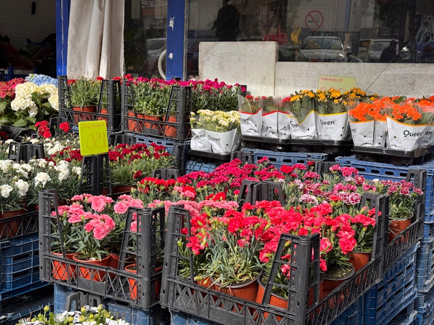 A display of potted flowering plants arranged in black plastic crates outside a flower shop, featuring bright pink, red, white, yellow, and orange blooms. The flowers include carnations and marigolds,
